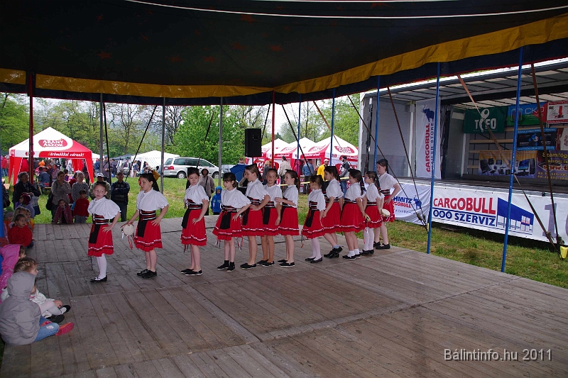 torokbalinti_varosi_majalis_2011_0060.jpg