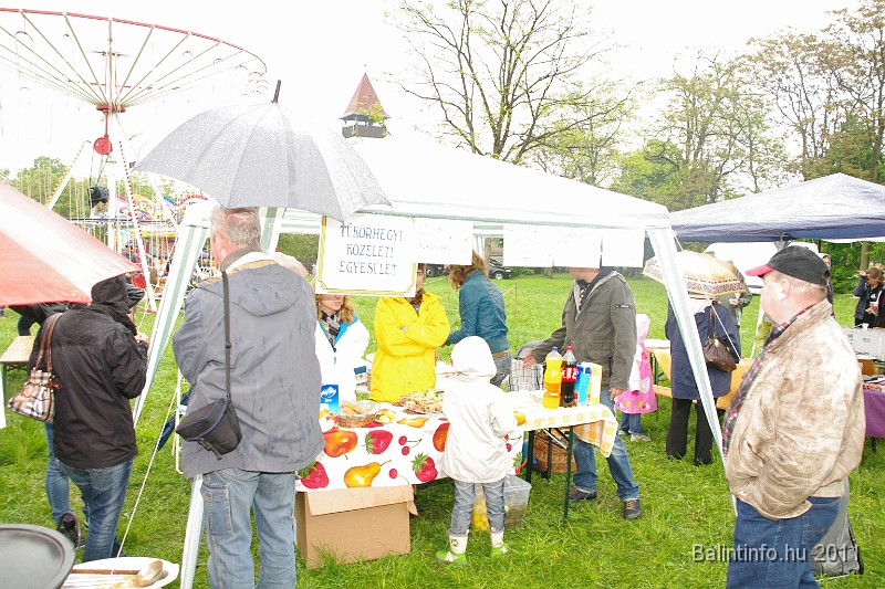 torokbalinti_varosi_majalis_2011_0095.jpg
