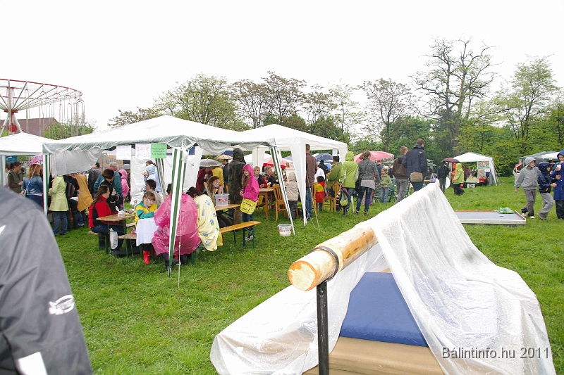 torokbalinti_varosi_majalis_2011_0112.jpg
