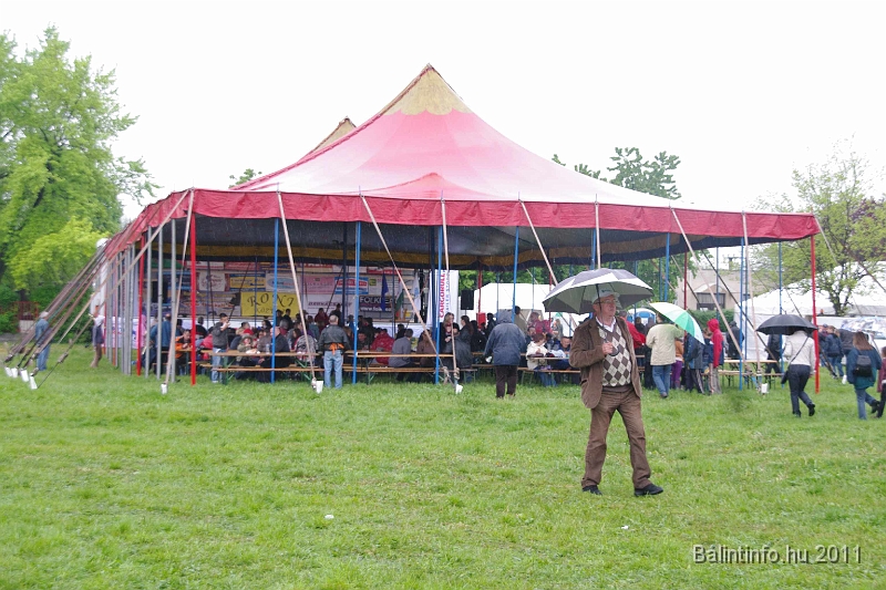 torokbalinti_varosi_majalis_2011_0114.jpg