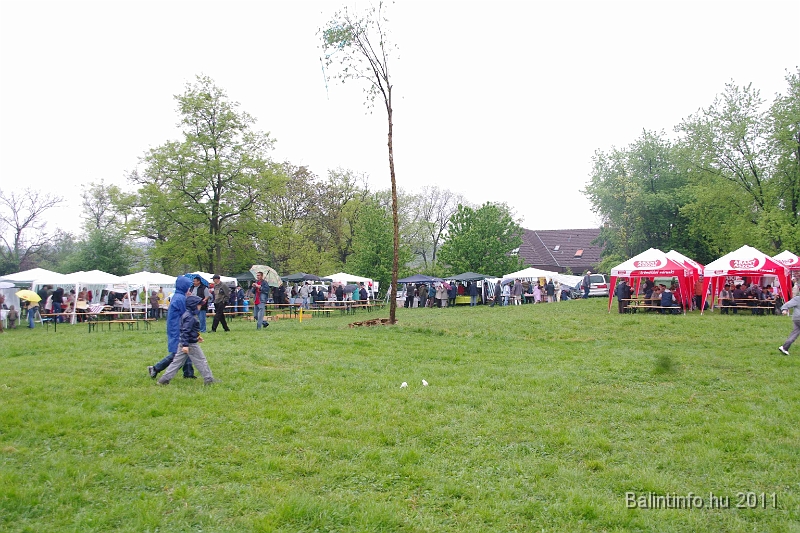 torokbalinti_varosi_majalis_2011_0115.jpg