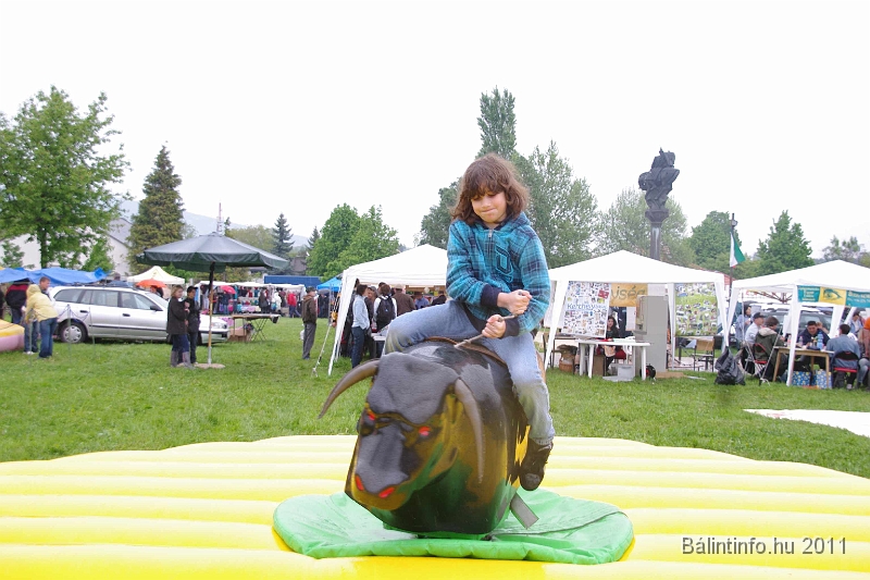 torokbalinti_varosi_majalis_2011_0177.jpg
