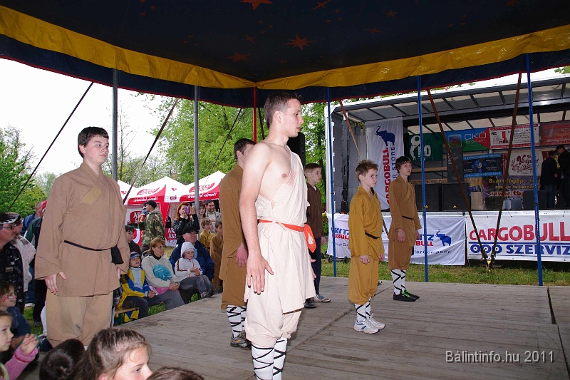 torokbalinti_varosi_majalis_2011_0230.jpg