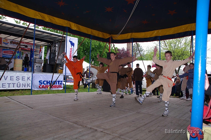 torokbalinti_varosi_majalis_2011_0231.jpg