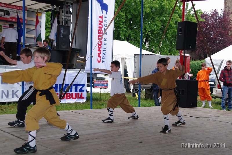 torokbalinti_varosi_majalis_2011_0233.jpg