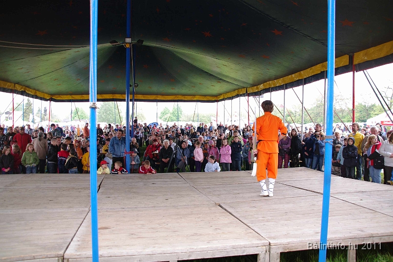torokbalinti_varosi_majalis_2011_0242.jpg