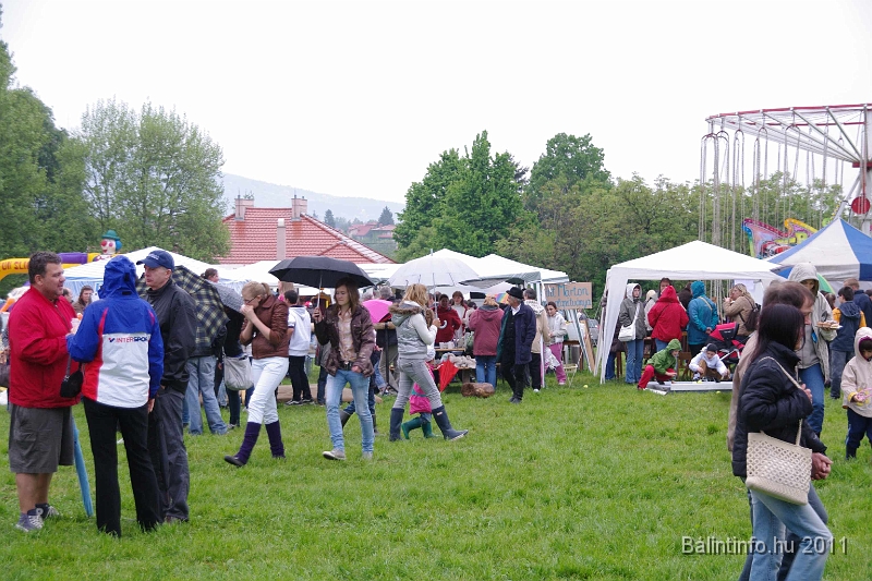 torokbalinti_varosi_majalis_2011_0264.jpg