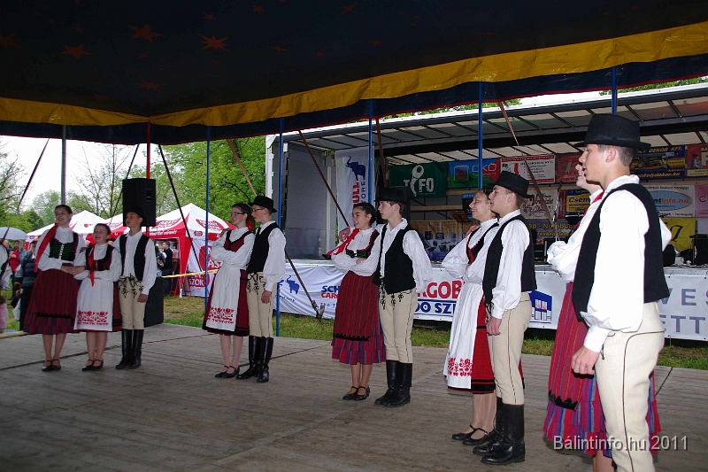 torokbalinti_varosi_majalis_2011_0269.jpg