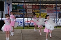 torokbalinti_varosi_majalis_2011_0049