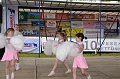 torokbalinti_varosi_majalis_2011_0051