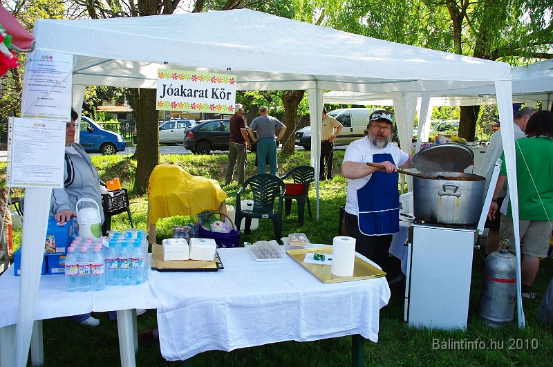 varosi_majalis_egyesuletek_2010_007.jpg
