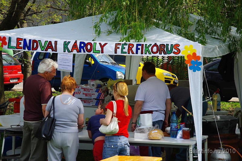varosi_majalis_egyesuletek_2010_017.jpg