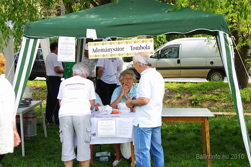 varosi_majalis_egyesuletek_2010_020.jpg