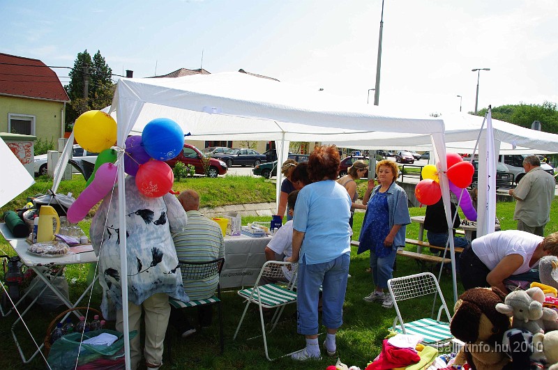 varosi_majalis_egyesuletek_2010_040.jpg