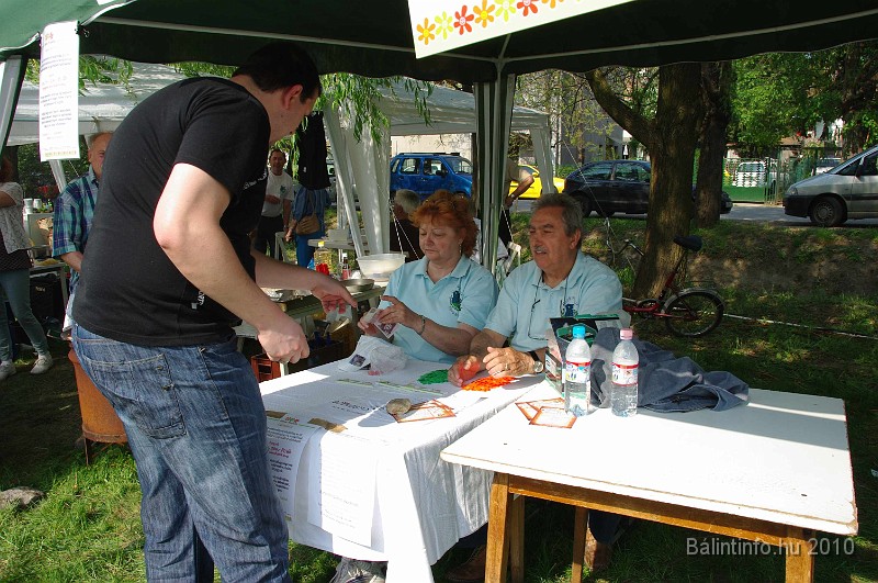varosi_majalis_egyesuletek_2010_077.jpg