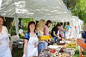 varosi_majalis_egyesuletek_2010_011