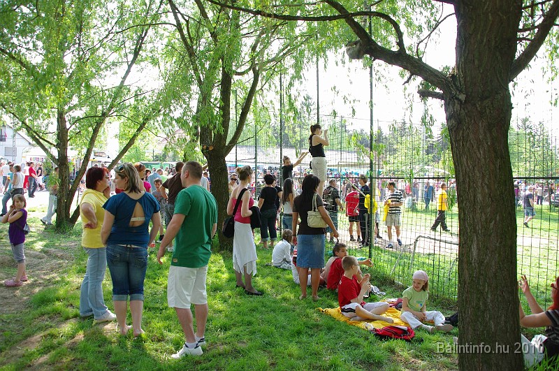 varosi_majalis_eletkepek_2010_195.jpg