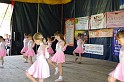 varosi_majalis_fellepok_2010_025