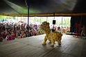 varosi_majalis_fellepok_2010_160