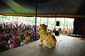 varosi_majalis_fellepok_2010_162