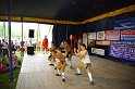 varosi_majalis_fellepok_2010_167