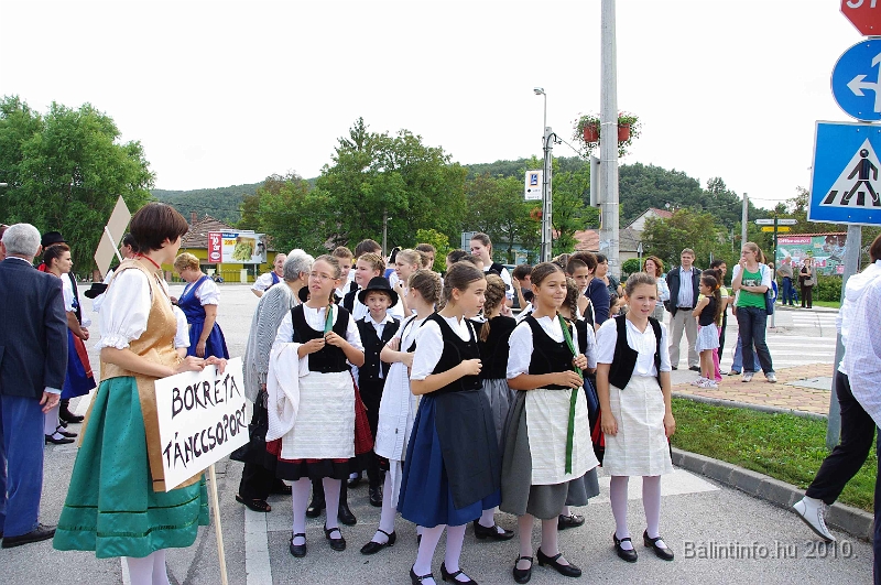 szureti_felvonulas_2010_007.jpg