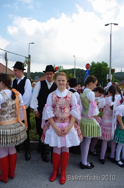 szureti_felvonulas_2010_012.jpg