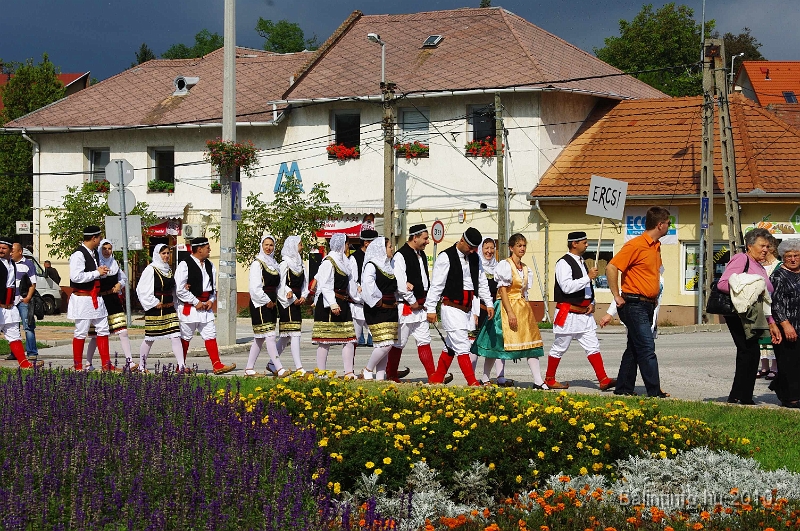szureti_felvonulas_2010_037.jpg
