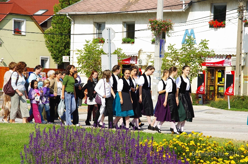 szureti_felvonulas_2010_039.jpg