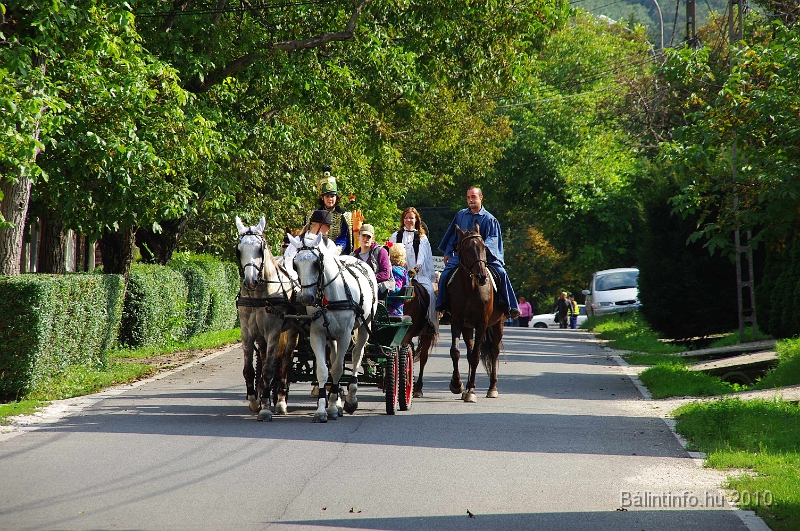 szureti_felvonulas_2010_042.jpg