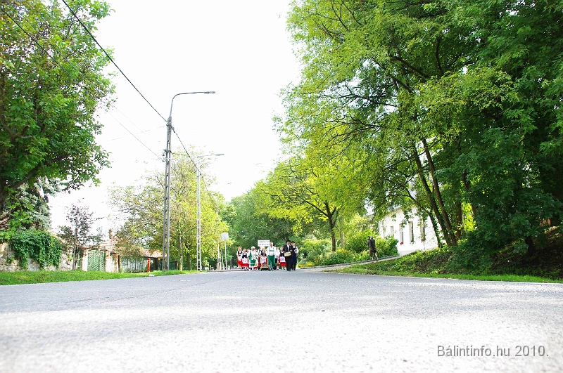 szureti_felvonulas_2010_049.jpg