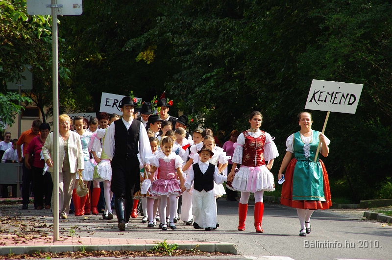 szureti_felvonulas_2010_051.jpg