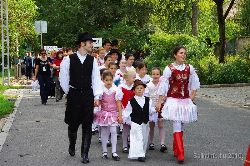 szureti_felvonulas_2010_054.jpg