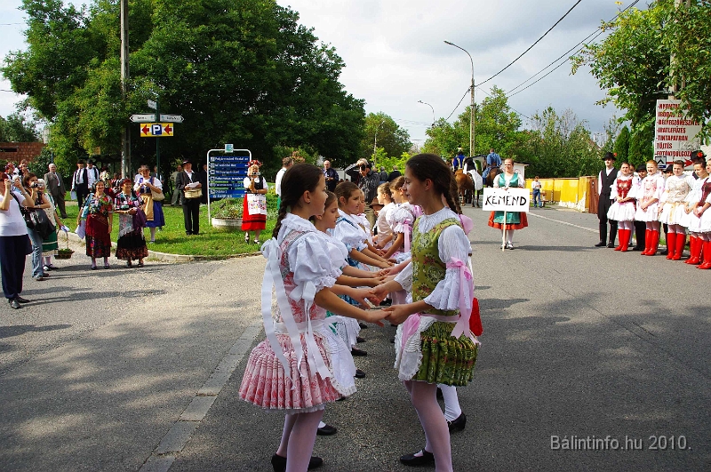 szureti_felvonulas_2010_064.jpg