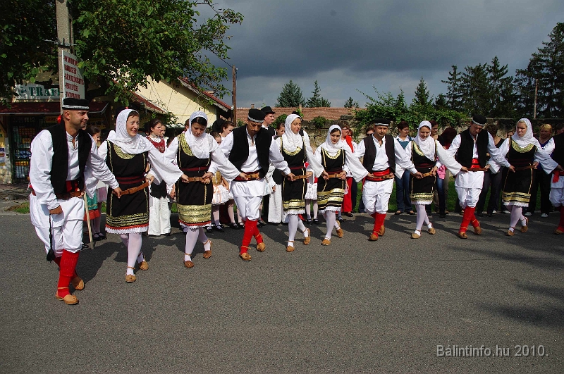 szureti_felvonulas_2010_076.jpg