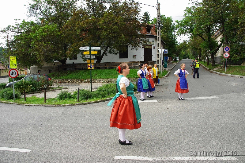 szureti_felvonulas_2010_095.jpg