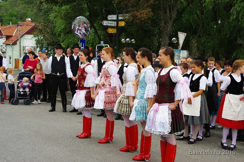 szureti_felvonulas_2010_139.jpg