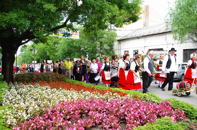 szureti_felvonulas_2010_150.jpg