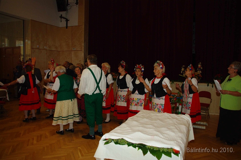 szureti_felvonulas_2010_176.jpg