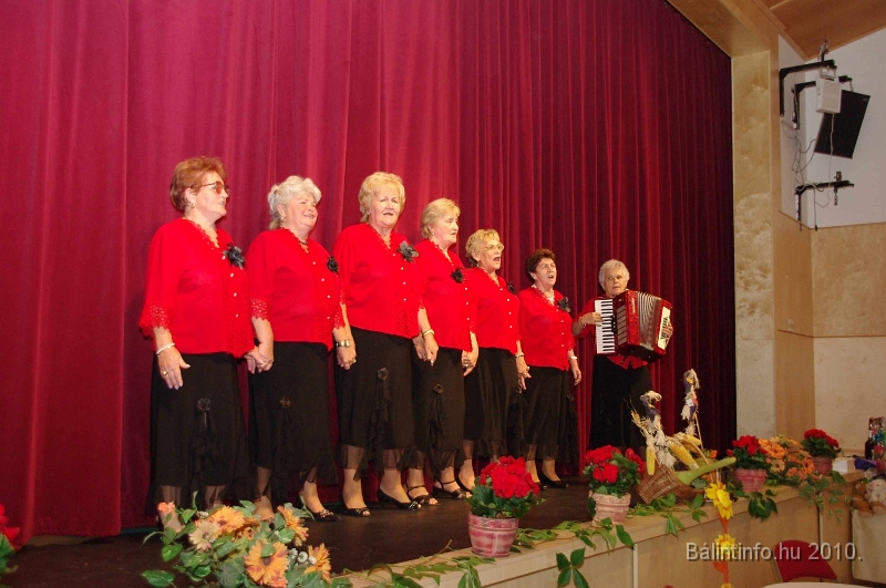 szureti_felvonulas_2010_180.jpg