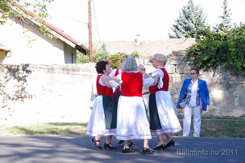 szureti_felvonulas_2011_031.jpg