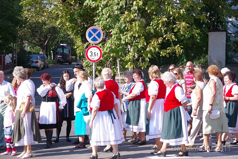 szureti_felvonulas_2011_043.jpg