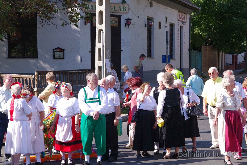 szureti_felvonulas_2011_044.jpg