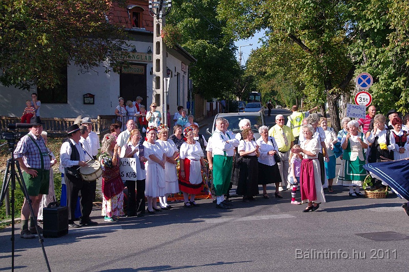 szureti_felvonulas_2011_058.jpg