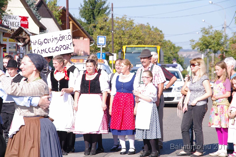 szureti_felvonulas_2011_064.jpg
