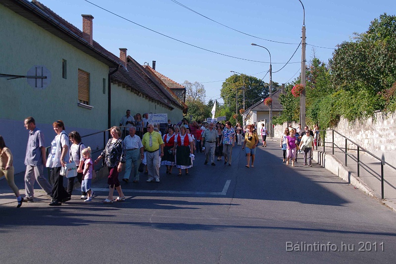 szureti_felvonulas_2011_069.jpg