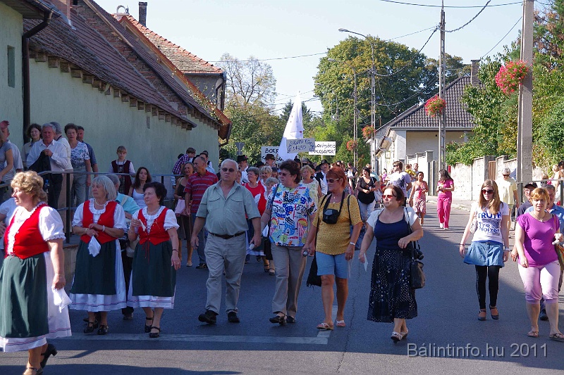 szureti_felvonulas_2011_071.jpg