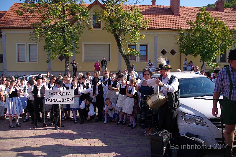 szureti_felvonulas_2011_096.jpg