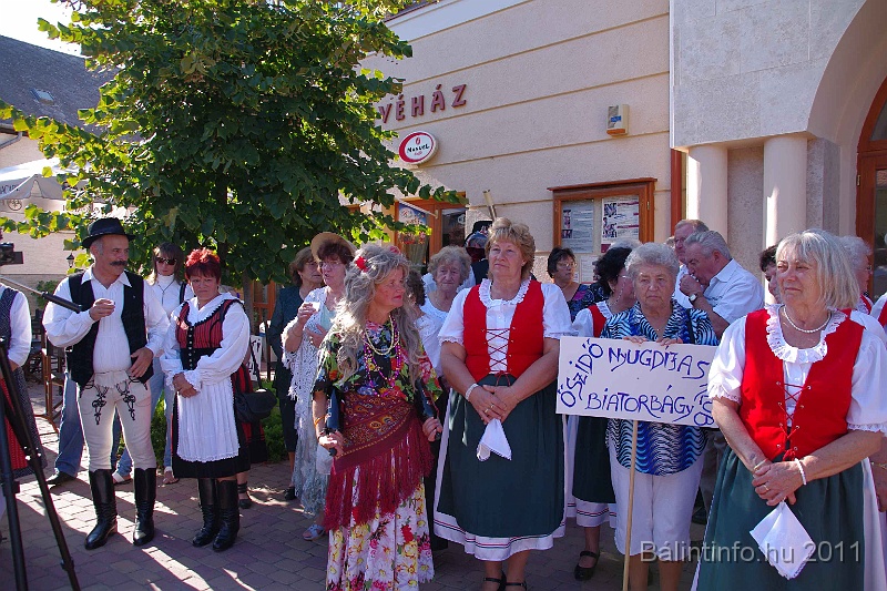 szureti_felvonulas_2011_101.jpg