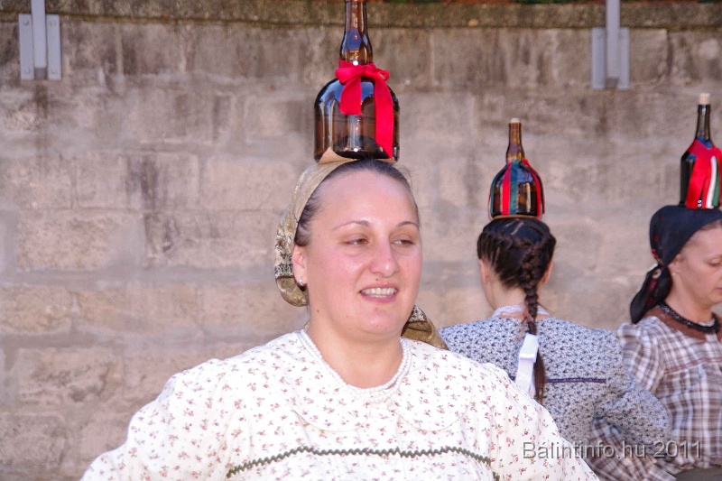 szureti_felvonulas_2011_116.jpg